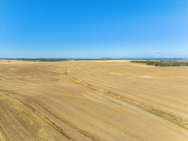 $1,600,000 | Xxx East Cornwall Road, Spangle, WA 99031