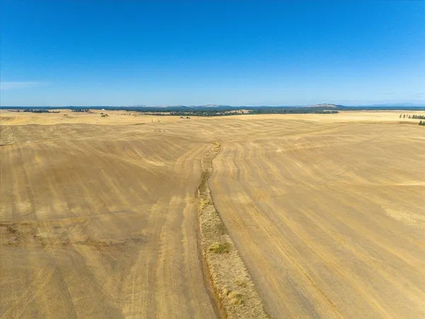 $1,600,000 | Xxx East Cornwall Road, Spangle, WA 99031