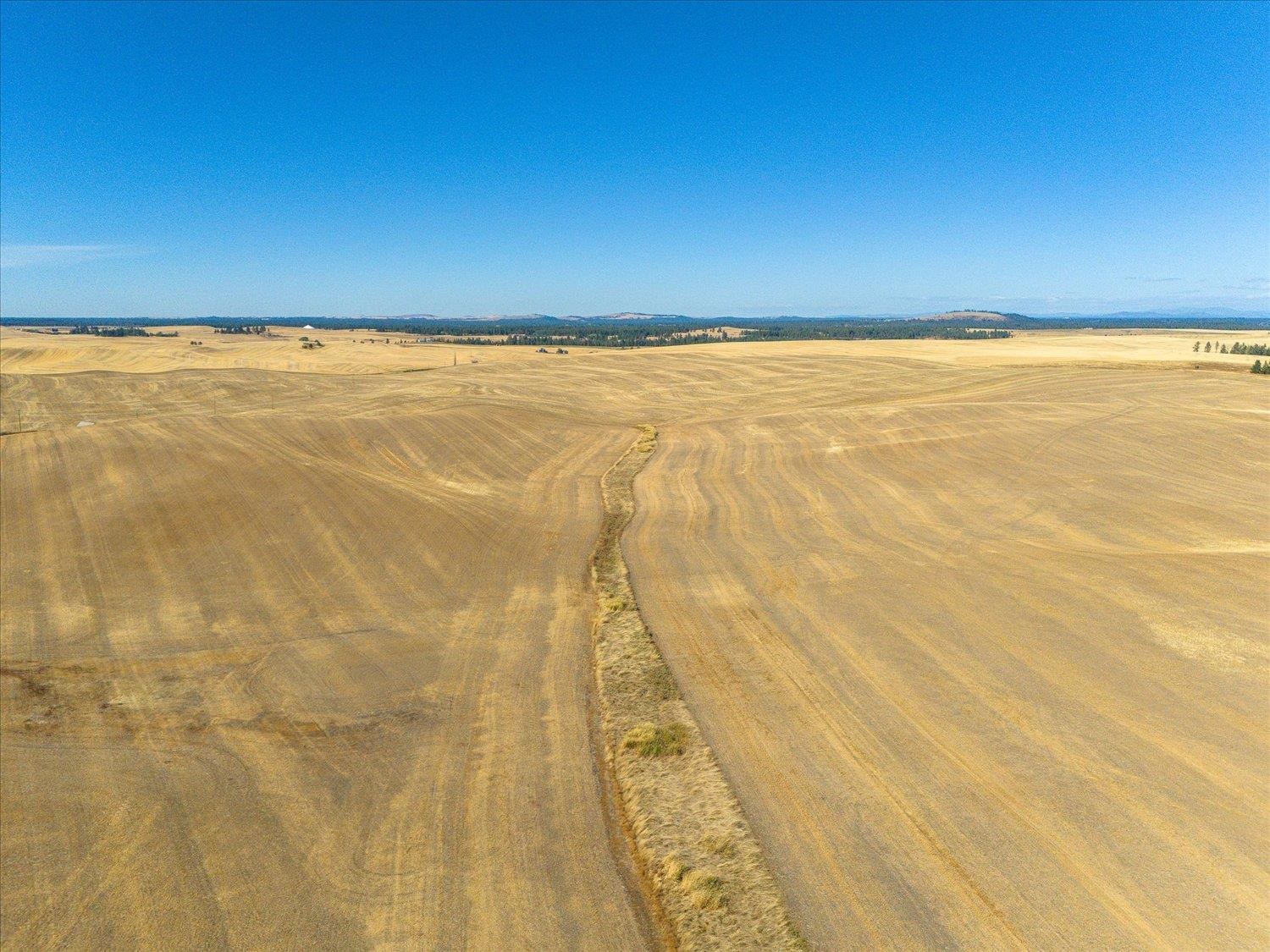 Xxx East Cornwall Road Spangle, WA 99031 - Photo 33 of 45