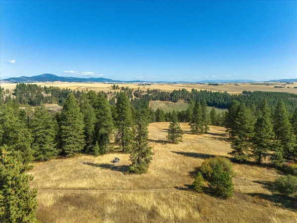 $1,600,000 | Xxx East Cornwall Road, Spangle, WA 99031