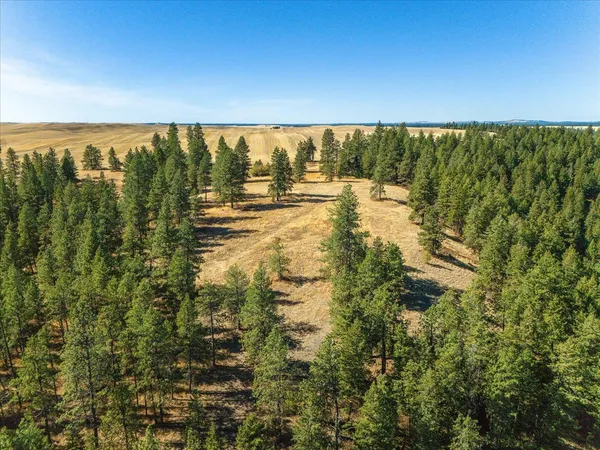 $1,600,000 | Xxx East Cornwall Road, Spangle, WA 99031