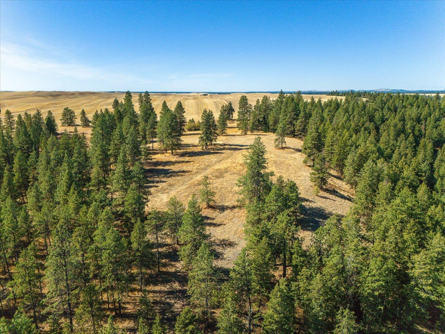 Xxx East Cornwall Road Spangle, WA 99031 - Photo 35 of 45