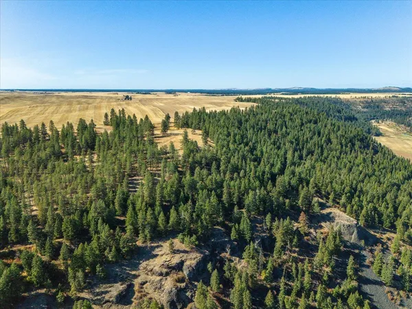 $1,600,000 | Xxx East Cornwall Road, Spangle, WA 99031