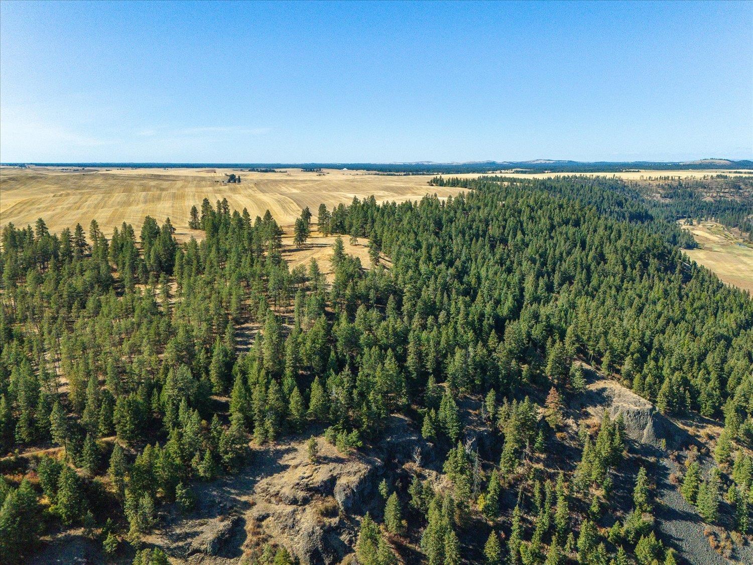 Xxx East Cornwall Road Spangle, WA 99031 - Photo 36 of 45