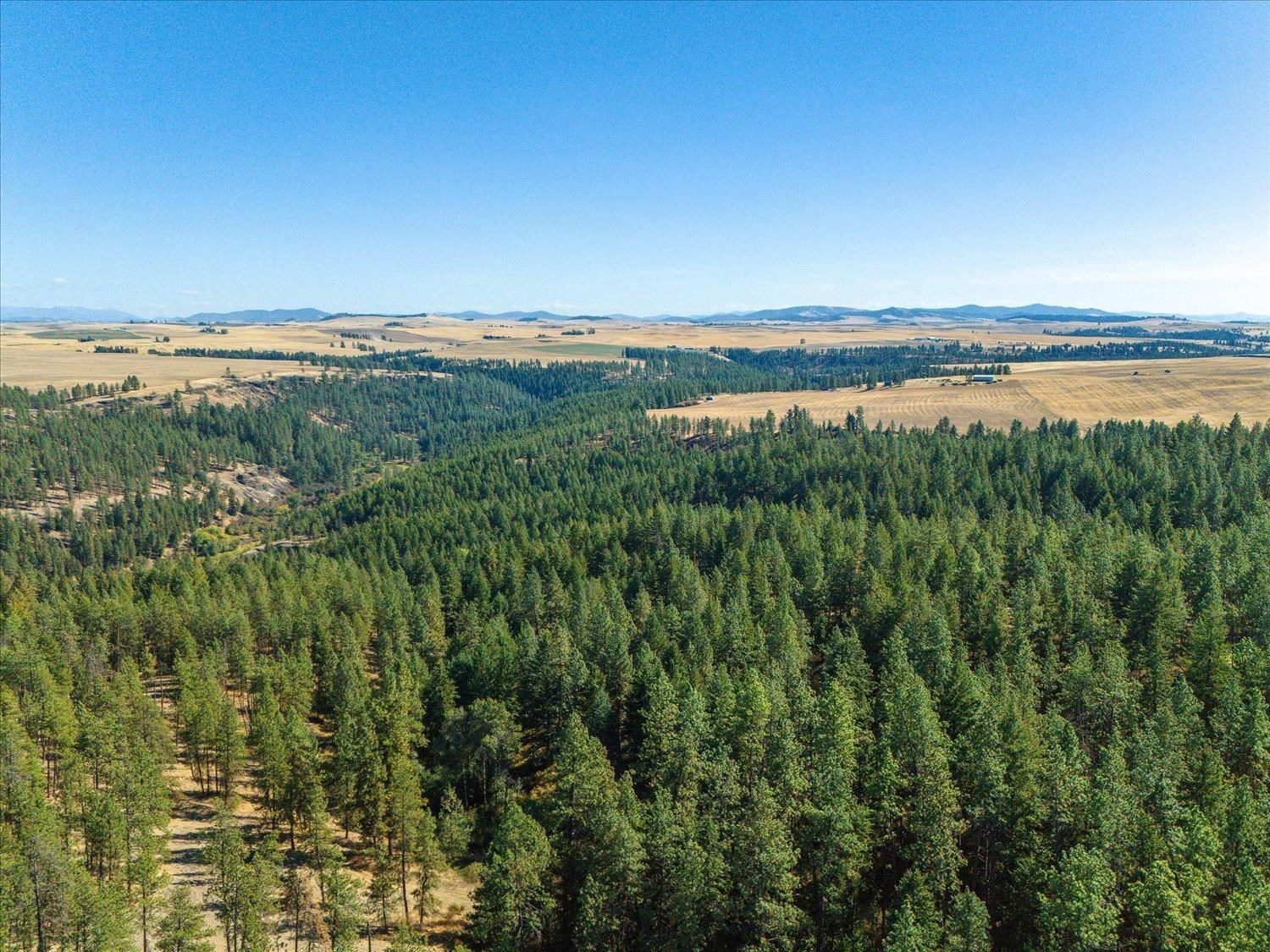 Xxx East Cornwall Road Spangle, WA 99031 - Photo 37 of 45