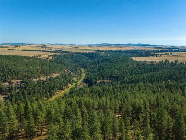 $1,600,000 | Xxx East Cornwall Road, Spangle, WA 99031