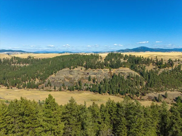 $1,600,000 | Xxx East Cornwall Road, Spangle, WA 99031