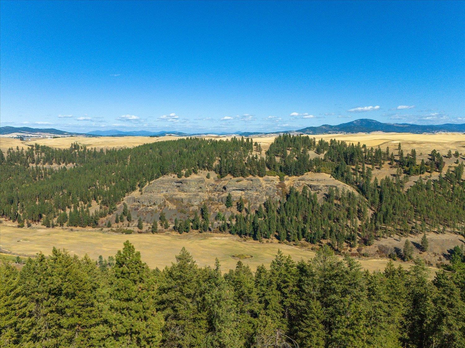 Xxx East Cornwall Road Spangle, WA 99031 - Photo 39 of 45