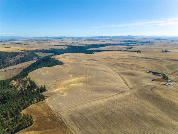 $1,600,000 | Xxx East Cornwall Road, Spangle, WA 99031