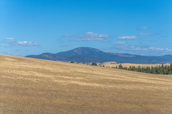 $1,600,000 | Xxx East Cornwall Road, Spangle, WA 99031