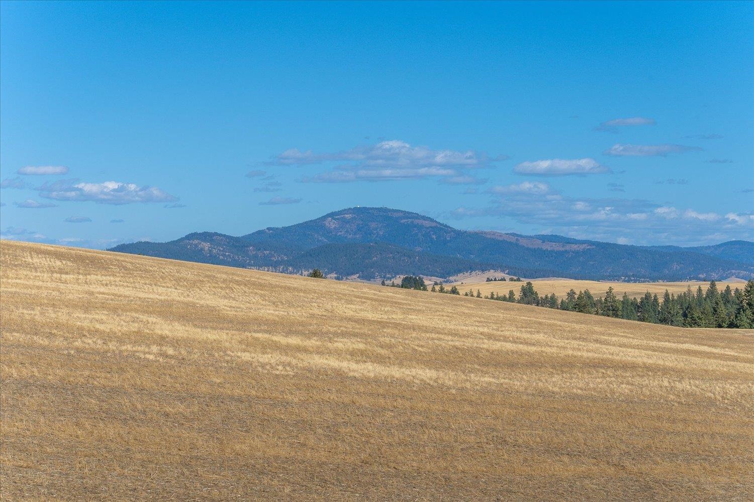 Xxx East Cornwall Road Spangle, WA 99031 - Photo 43 of 45