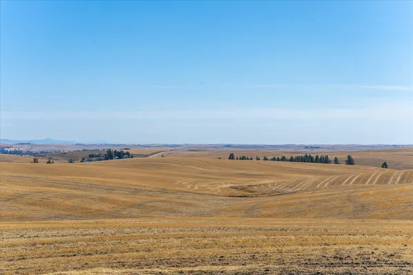 $1,600,000 | Xxx East Cornwall Road, Spangle, WA 99031