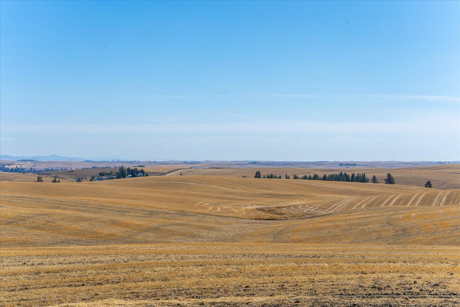 Xxx East Cornwall Road Spangle, WA 99031 - Photo 44 of 45