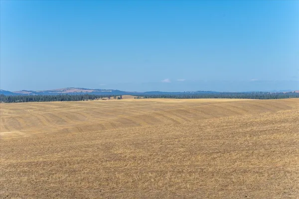 $1,600,000 | Xxx East Cornwall Road, Spangle, WA 99031