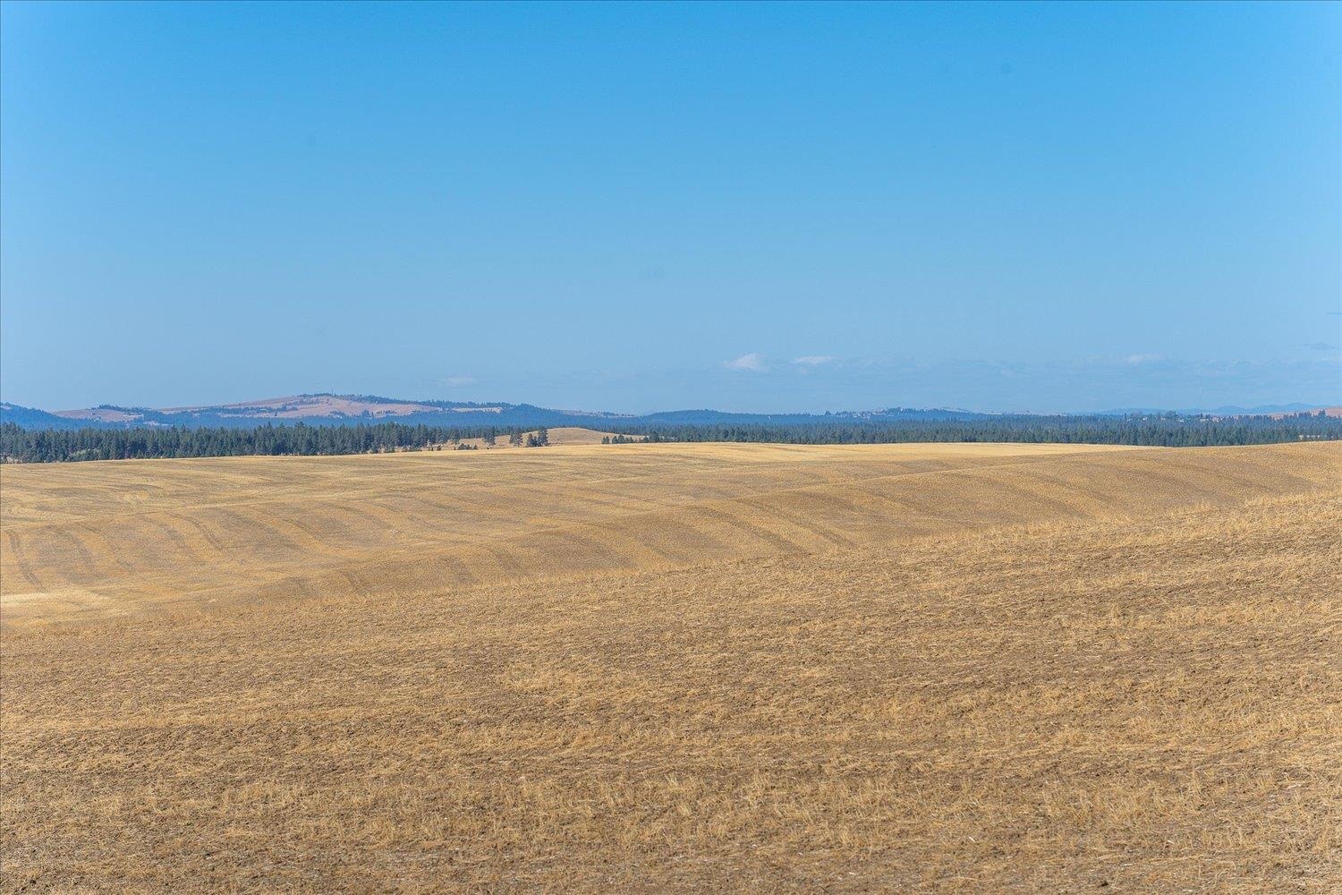 Xxx East Cornwall Road Spangle, WA 99031 - Photo 45 of 45