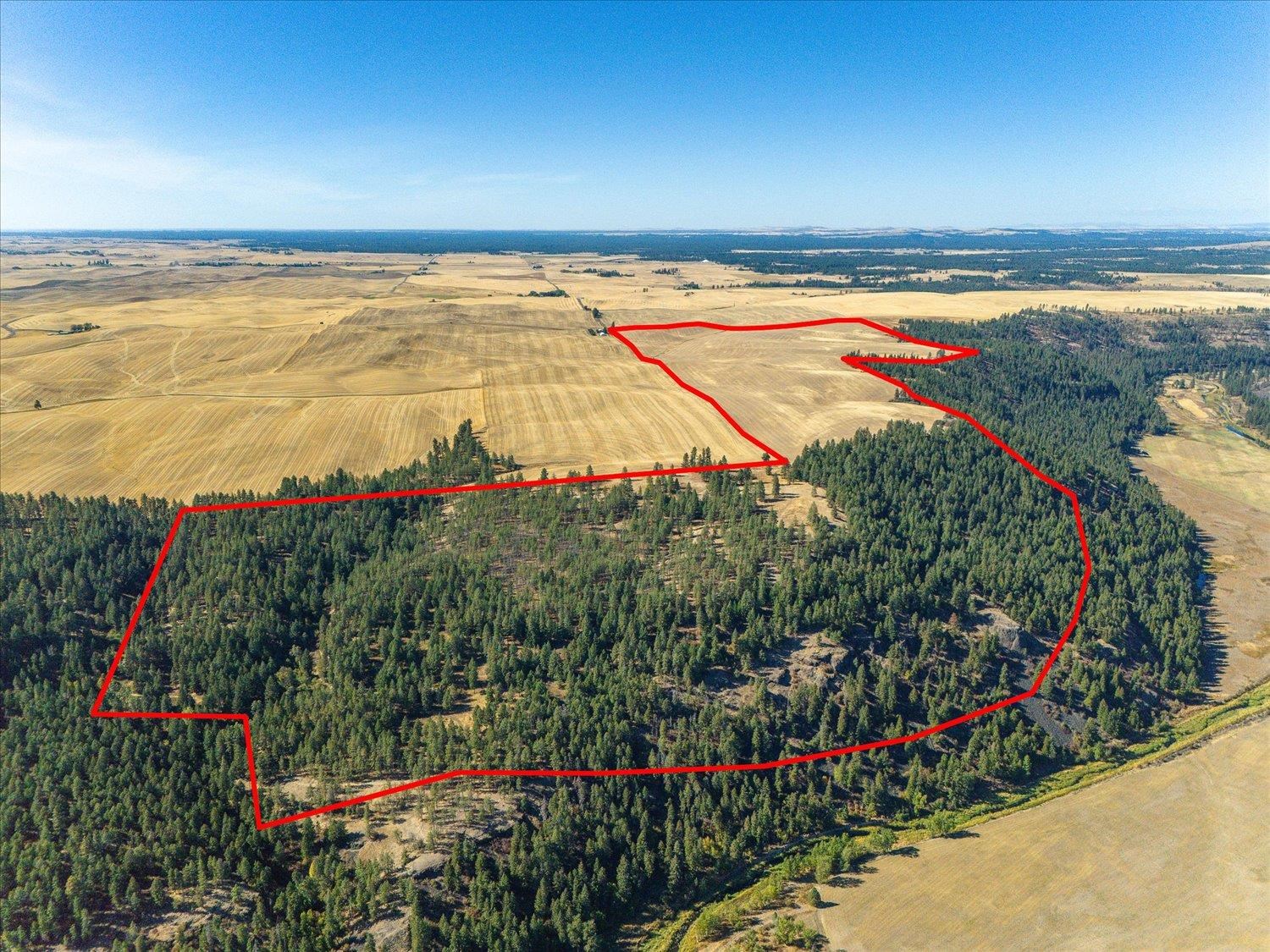 Xxx East Cornwall Road Spangle, WA 99031 - Photo 6 of 45