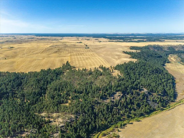 $1,600,000 | Xxx East Cornwall Road, Spangle, WA 99031