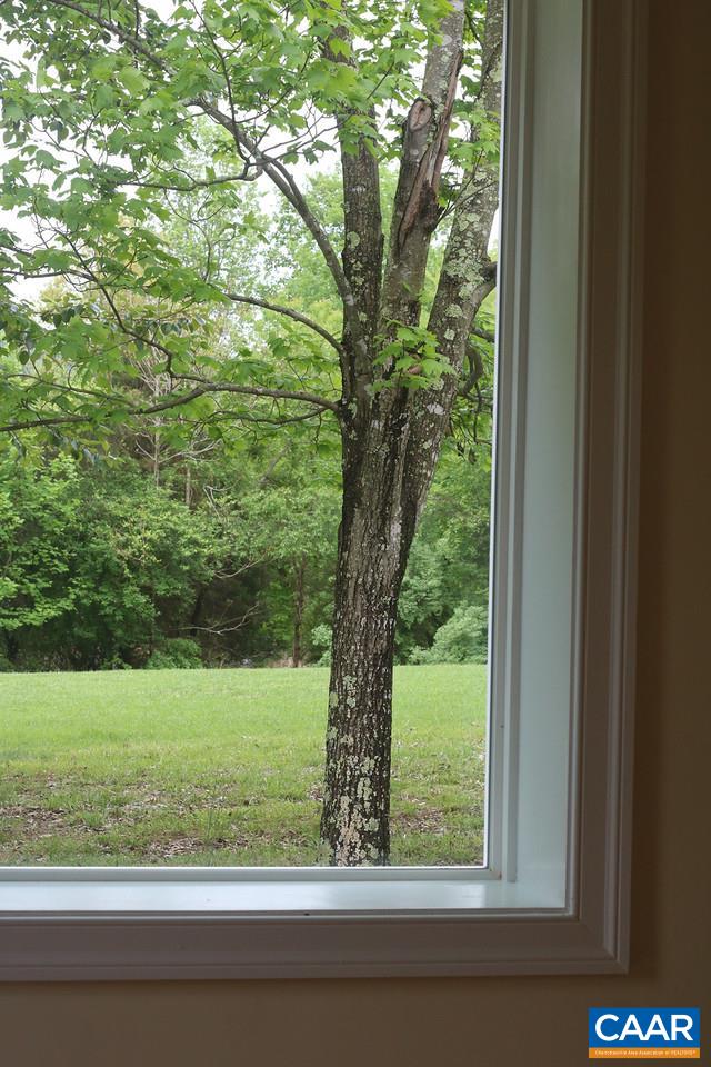 268 Dry Bridge Road Charlottesville, VA 22903 - Photo 32 of 36 a view of a yard from a window