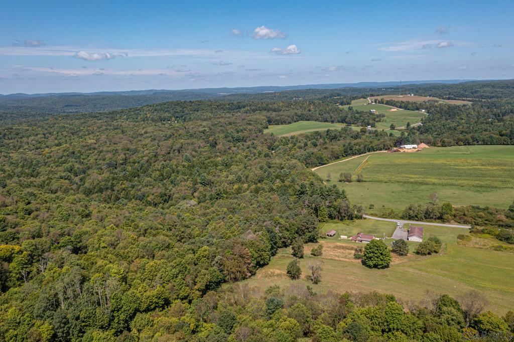 1981 Shepard Lane Road Westover, PA 16692 - Photo 29 of 72 Gallery Image 29