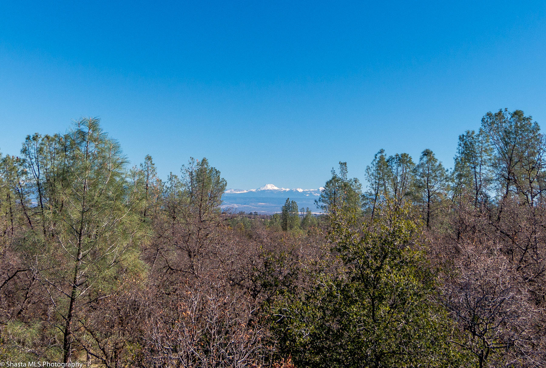 9058 Silver King Road Redding, CA 96001 - Photo 4 of 34 mountain views