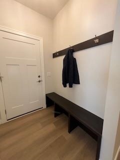 1132 Water, Unit 8 Sauk City, WI 53583 - Photo 28 of 40