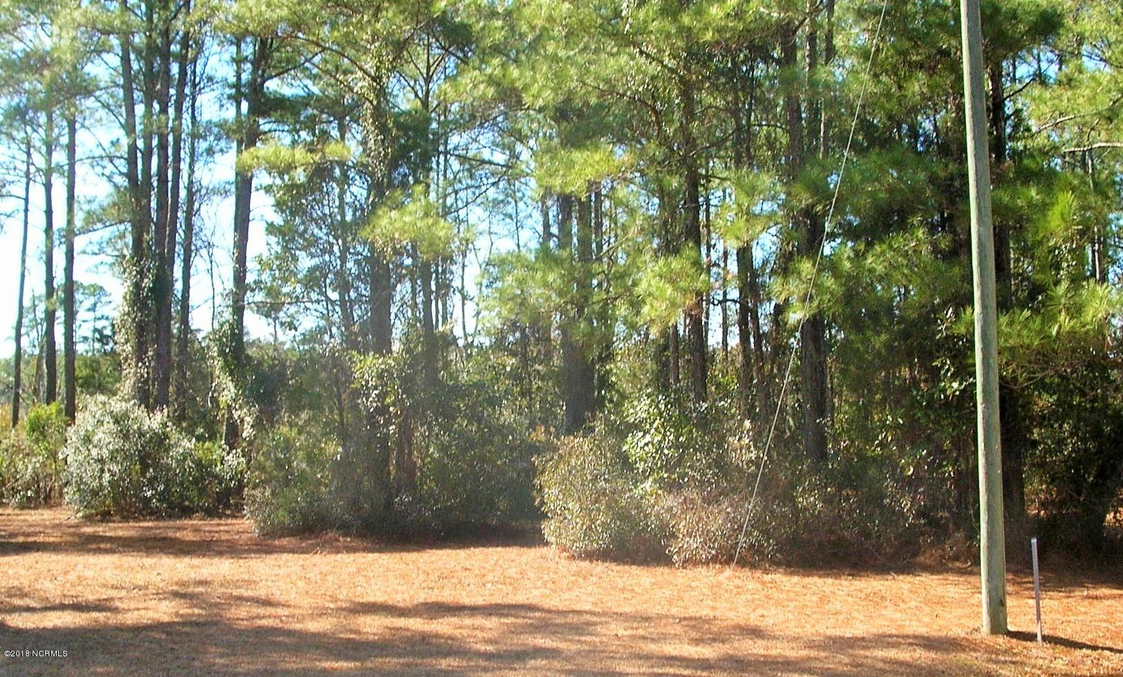 5116 Bucco Reef Road New Bern, NC 28560 - Photo 1 of 17 View From Bucco Reef Rd