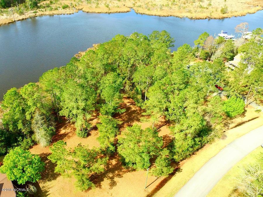 5116 Bucco Reef Road New Bern, NC 28560 - Photo 17 of 17 Bucco_trees and water