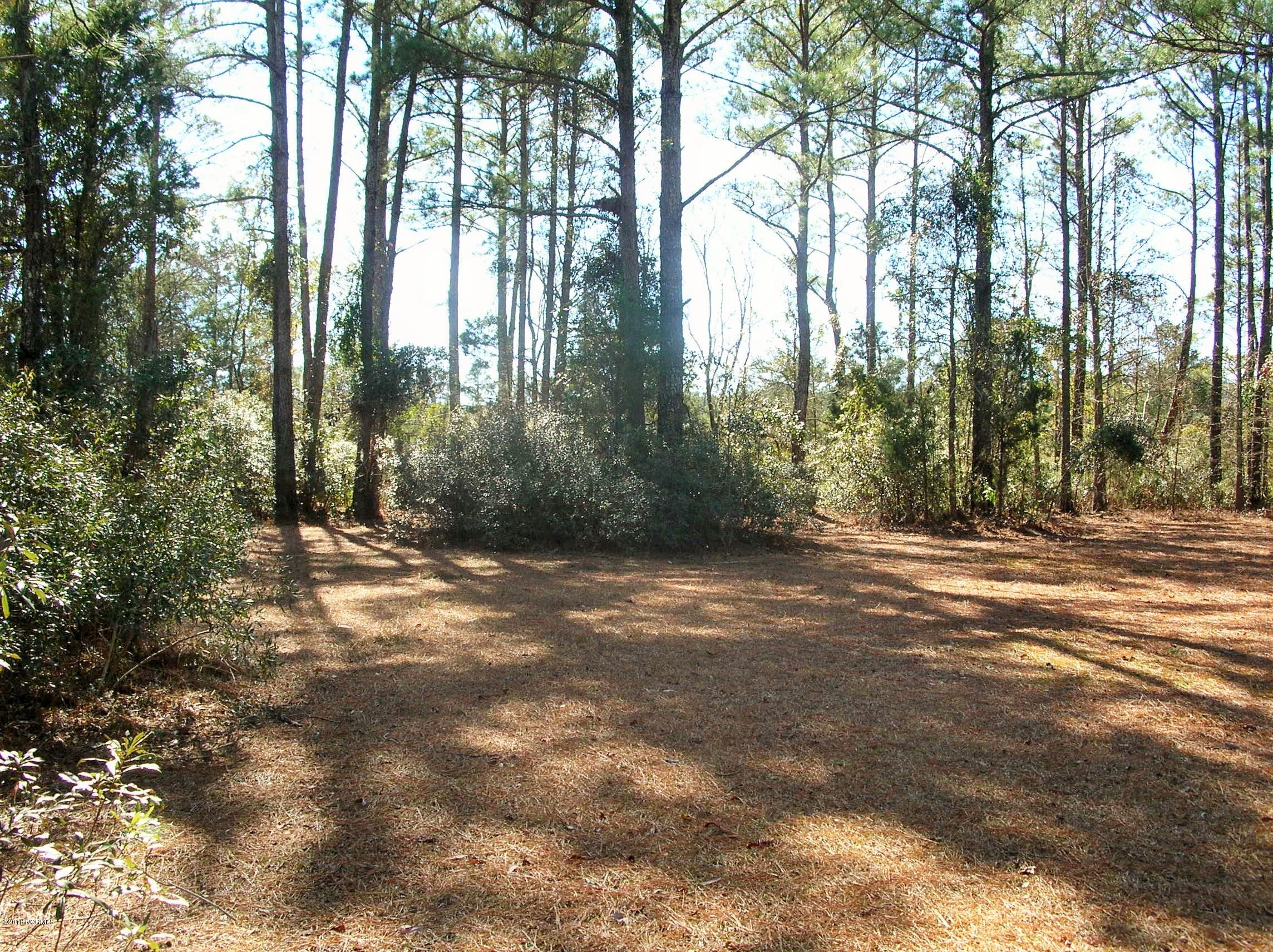 5116 Bucco Reef Road New Bern, NC 28560 - Photo 2 of 17 BuccoReef12