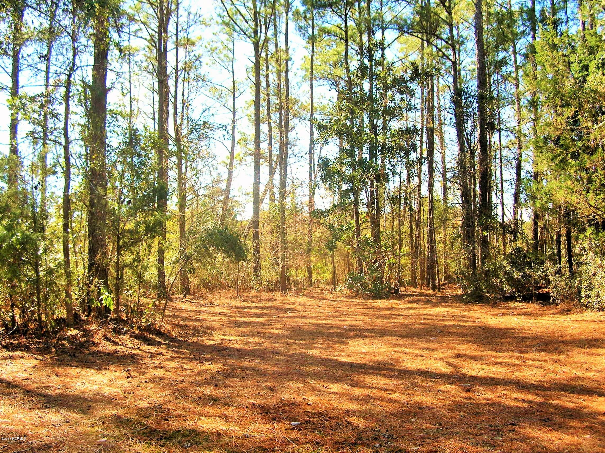 5116 Bucco Reef Road New Bern, NC 28560 - Photo 3 of 17 BuccoReef14