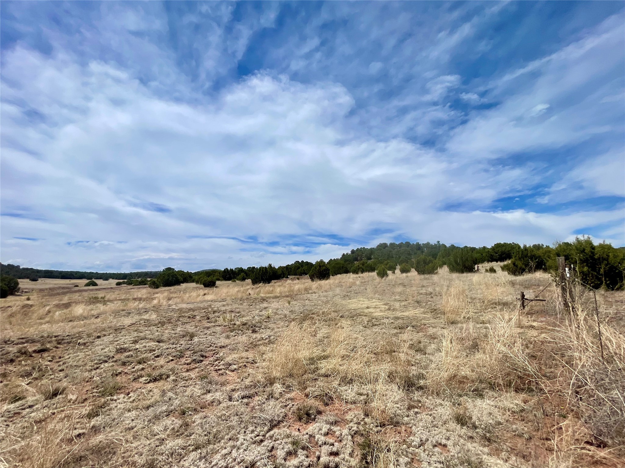 331 Mirasol Road Las Vegas, NM 87701 - Photo 4 of 14