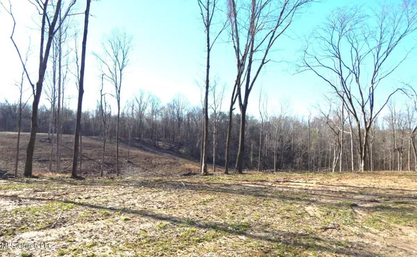 $395,000 | 4577 Bluff Road, Hernando, MS 38632