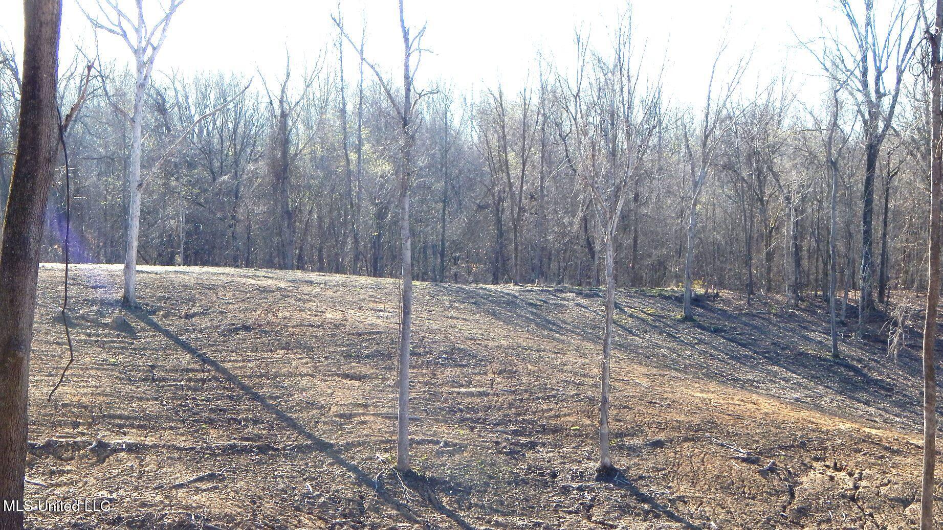 4577 Bluff Road Hernando, MS 38632 - Photo 13 of 50 DSCN6701