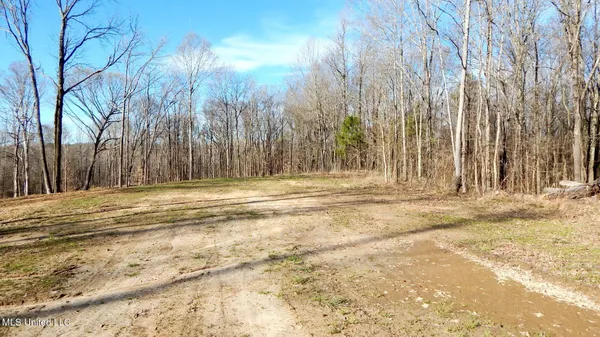 $395,000 | 4577 Bluff Road, Hernando, MS 38632