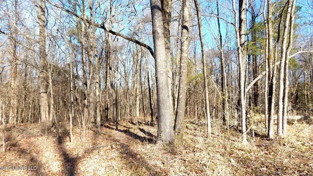 $395,000 | 4577 Bluff Road, Hernando, MS 38632