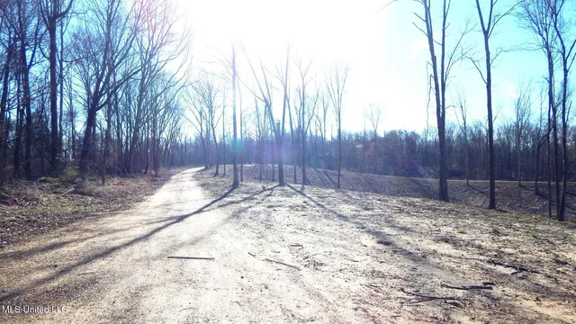 $395,000 | 4577 Bluff Road, Hernando, MS 38632