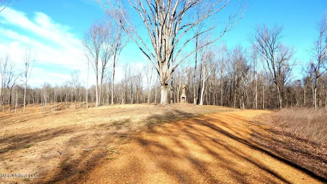 $395,000 | 4577 Bluff Road, Hernando, MS 38632