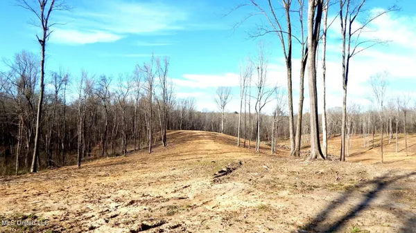 $395,000 | 4577 Bluff Road, Hernando, MS 38632