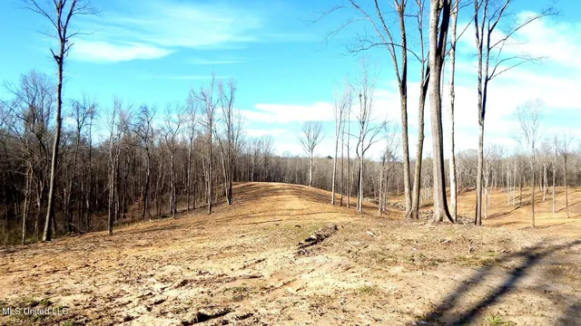 $395,000 | 4577 Bluff Road, Hernando, MS 38632