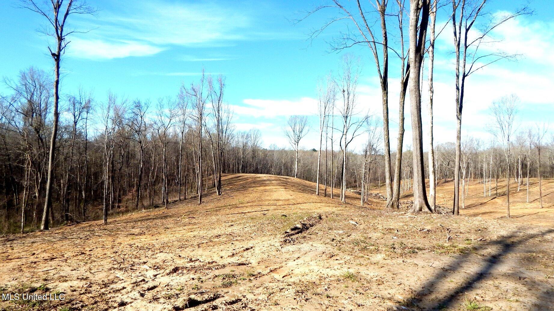 4577 Bluff Road Hernando, MS 38632 - Photo 18 of 50 DSCN6709