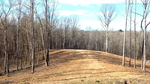 $395,000 | 4577 Bluff Road, Hernando, MS 38632