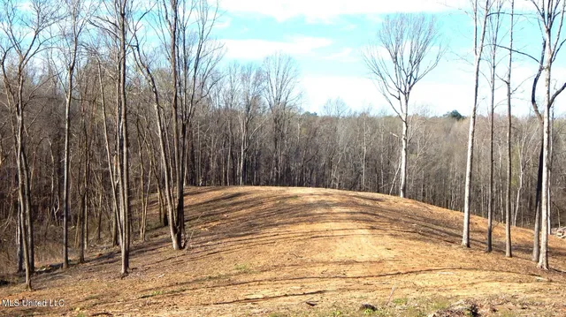 $395,000 | 4577 Bluff Road, Hernando, MS 38632