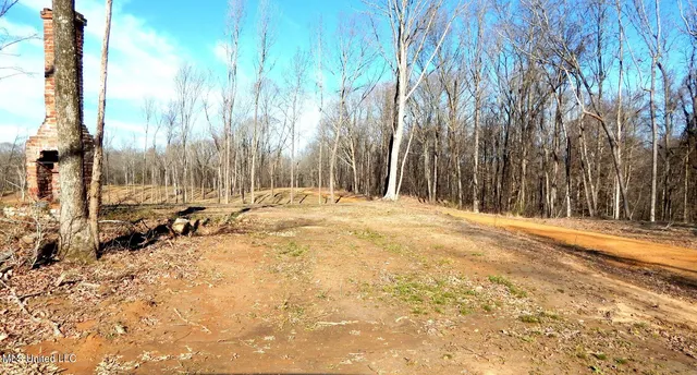 $395,000 | 4577 Bluff Road, Hernando, MS 38632