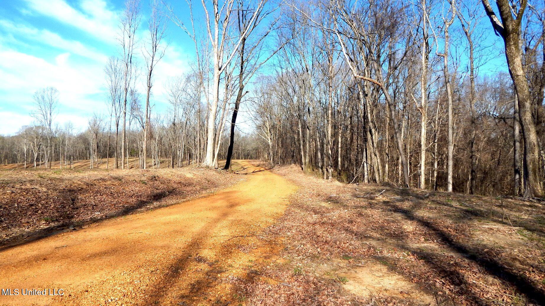 4577 Bluff Road Hernando, MS 38632 - Photo 22 of 50 DSCN6714