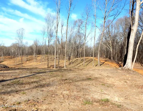 $395,000 | 4577 Bluff Road, Hernando, MS 38632