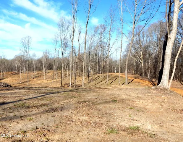 $395,000 | 4577 Bluff Road, Hernando, MS 38632