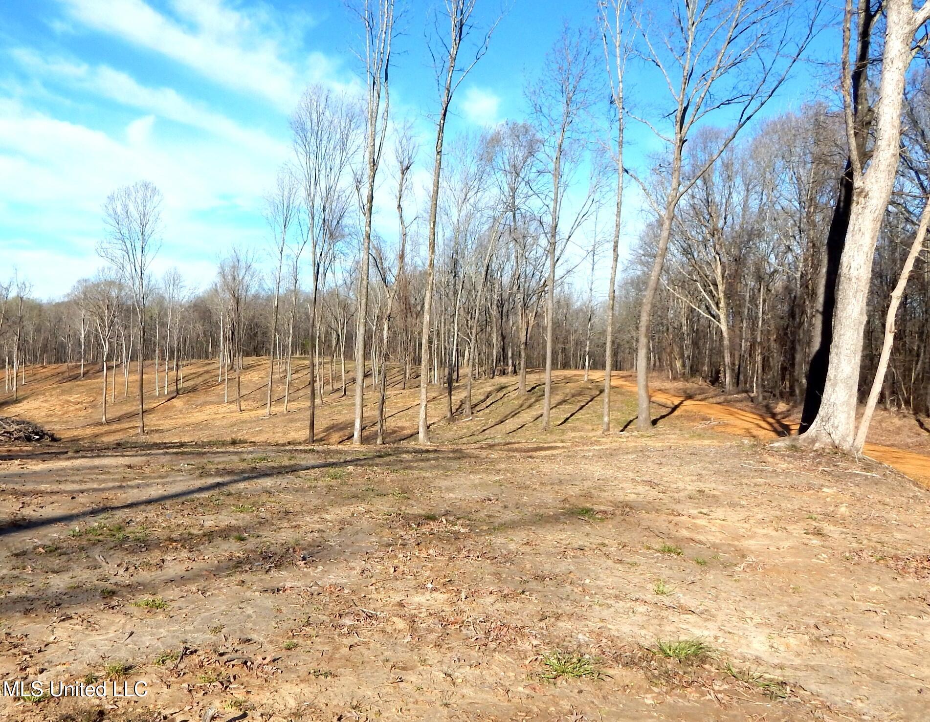 4577 Bluff Road Hernando, MS 38632 - Photo 23 of 50 DSCN6715