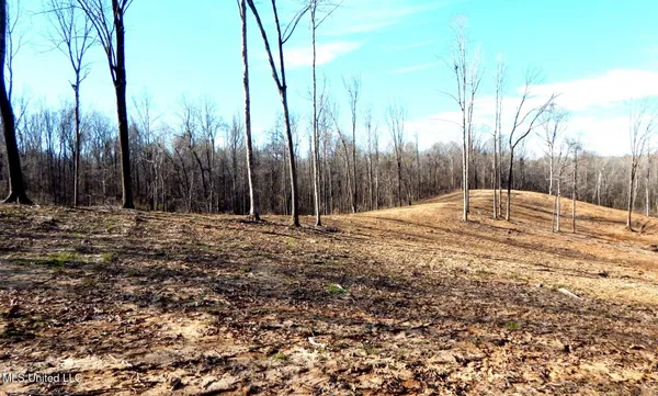 $395,000 | 4577 Bluff Road, Hernando, MS 38632