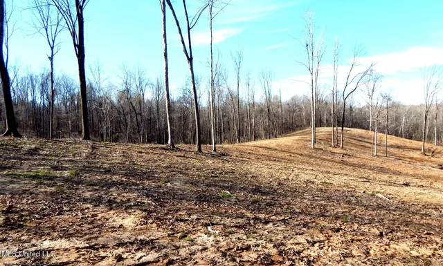 $395,000 | 4577 Bluff Road, Hernando, MS 38632