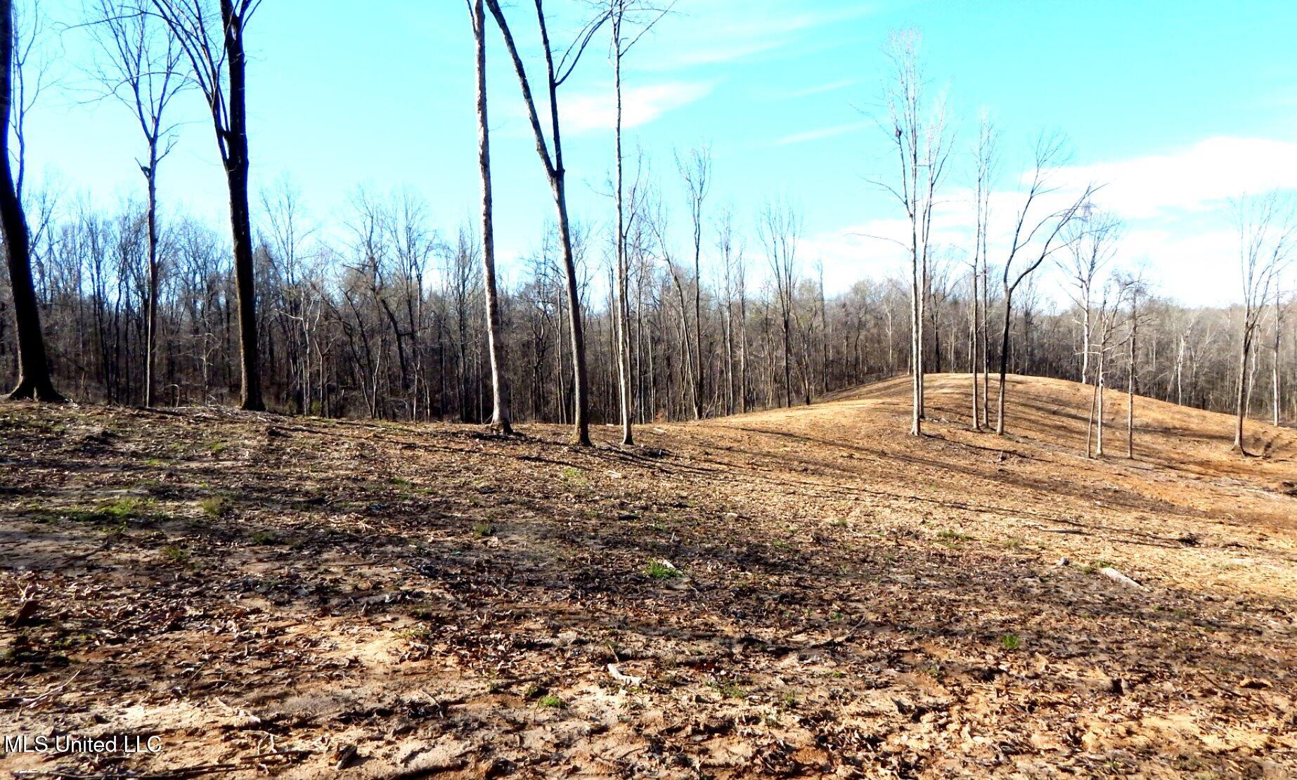 4577 Bluff Road Hernando, MS 38632 - Photo 24 of 50 DSCN6722