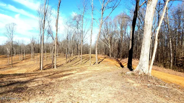 $395,000 | 4577 Bluff Road, Hernando, MS 38632